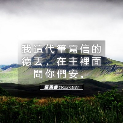 Picture 05 - 羅 馬 書 16:22 CUVT - 我 這 代 筆 寫 信 的 德 丟 ， 在 主 - Bible Verse Picture