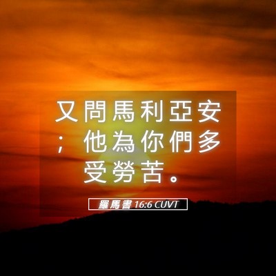 Picture 05 - 羅 馬 書 16:6 CUVT - 又 問 馬 利 亞 安 ； 他 為 你 們 多 - Bible Verse Picture