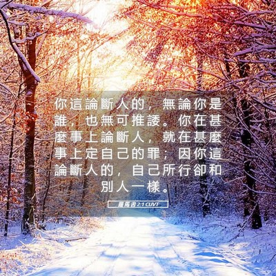 Picture 05 - 羅 馬 書 2:1 CUVT - 你 這 論 斷 人 的 ， 無 論 你 是 誰 - Bible Verse Picture