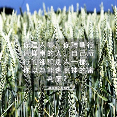 Picture 05 - 羅 馬 書 2:3 CUVT - 你 這 人 哪 ， 你 論 斷 行 這 樣 事 - Bible Verse Picture