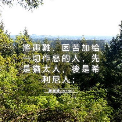 Picture 05 - 羅 馬 書 2:9 CUVT - 將 患 難 、 困 苦 加 給 一 切 作 惡 - Bible Verse Picture