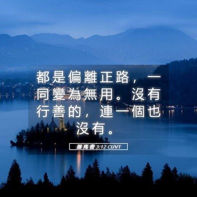 Picture 05 - 羅 馬 書 3:12 CUVT - 都 是 偏 離 正 路 ， 一 同 變 為 無 - Bible Verse Picture