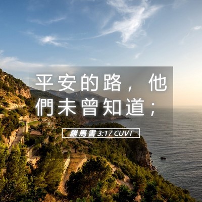Picture 05 - 羅 馬 書 3:17 CUVT - 平 安 的 路 ， 他 們 未 曾 知 道 - Bible Verse Picture