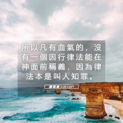 Picture 05 - 羅 馬 書 3:20 CUVT - 所 以 凡 有 血 氣 的 ， 沒 有 一 個 - Bible Verse Picture