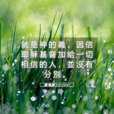 Picture 05 - 羅 馬 書 3:22 CUVT - 就 是 神 的 義 ， 因 信 耶 穌 基 督 - Bible Verse Picture