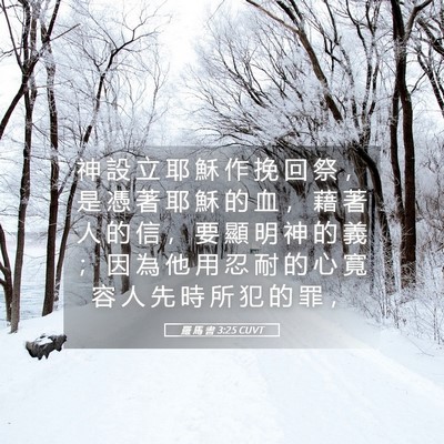 Picture 05 - 羅 馬 書 3:25 CUVT - 神 設 立 耶 穌 作 挽 回 祭 ， 是 憑 - Bible Verse Picture