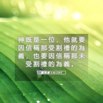Picture 05 - 羅 馬 書 3:30 CUVT - 神 既 是 一 位 ， 他 就 要 因 信 稱 - Bible Verse Picture