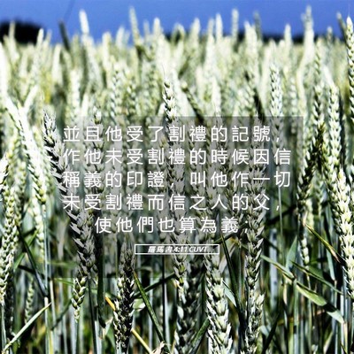 Picture 05 - 羅 馬 書 4:11 CUVT - 並 且 他 受 了 割 禮 的 記 號 ， 作 - Bible Verse Picture