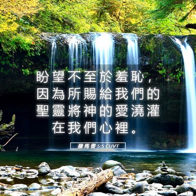 Picture 05 - 羅 馬 書 5:5 CUVT - 盼 望 不 至 於 羞 恥 ， 因 為 所 賜 - Bible Verse Picture