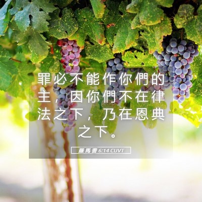 Picture 05 - 羅 馬 書 6:14 CUVT - 罪 必 不 能 作 你 們 的 主 ， 因 你 - Bible Verse Picture