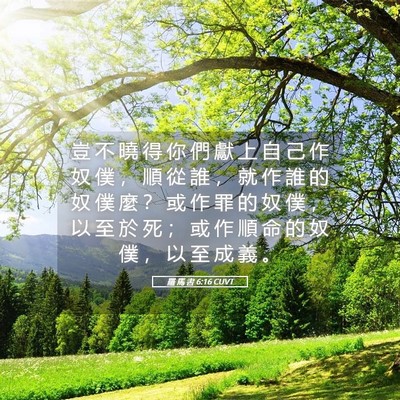 Picture 05 - 羅 馬 書 6:16 CUVT - 豈 不 曉 得 你 們 獻 上 自 己 作 奴 - Bible Verse Picture