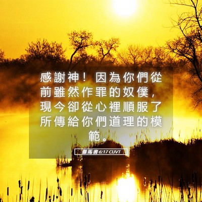 Picture 05 - 羅 馬 書 6:17 CUVT - 感 謝 神 ！ 因 為 你 們 從 前 雖 然 - Bible Verse Picture
