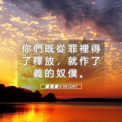 Picture 05 - 羅 馬 書 6:18 CUVT - 你 們 既 從 罪 裡 得 了 釋 放 ， 就 - Bible Verse Picture