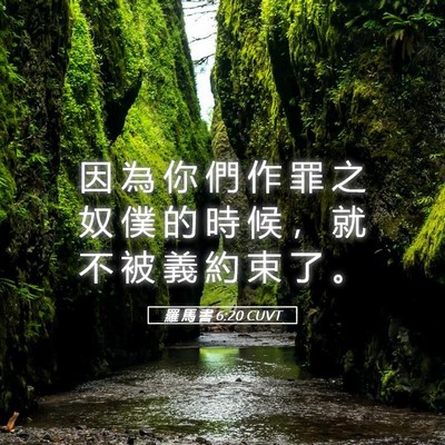 Picture 05 - 羅 馬 書 6:20 CUVT - 因 為 你 們 作 罪 之 奴 僕 的 時 候 - Bible Verse Picture