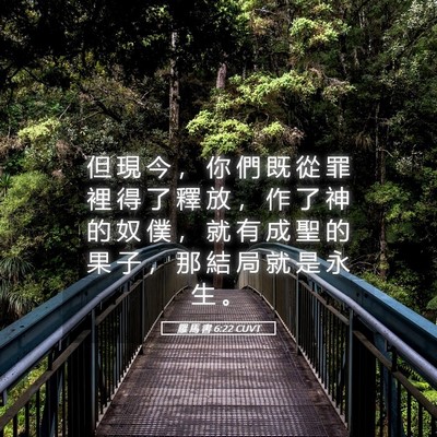 Picture 05 - 羅 馬 書 6:22 CUVT - 但 現 今 ， 你 們 既 從 罪 裡 得 了 - Bible Verse Picture