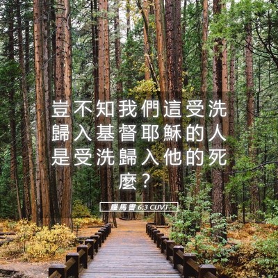 Picture 05 - 羅 馬 書 6:3 CUVT - 豈 不 知 我 們 這 受 洗 歸 入 基 督 - Bible Verse Picture