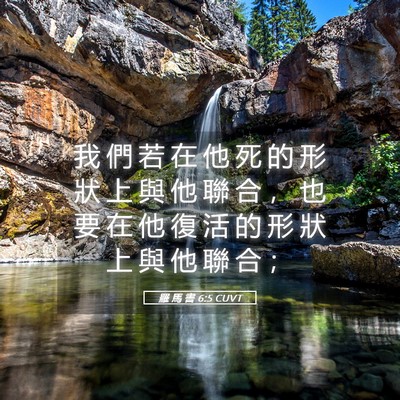 Picture 05 - 羅 馬 書 6:5 CUVT - 我 們 若 在 他 死 的 形 狀 上 與 他 - Bible Verse Picture