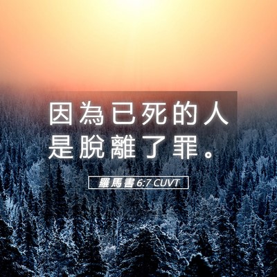 Picture 05 - 羅 馬 書 6:7 CUVT - 因 為 已 死 的 人 是 脫 離 了 罪 - Bible Verse Picture