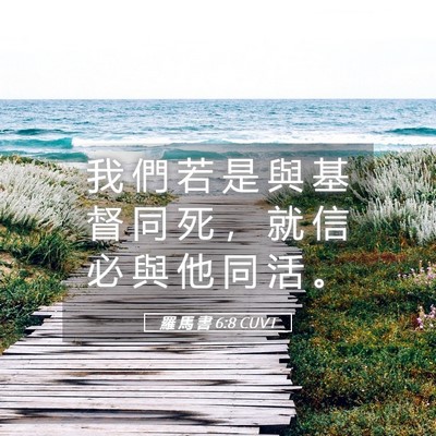 Picture 05 - 羅 馬 書 6:8 CUVT - 我 們 若 是 與 基 督 同 死 ， 就 信 - Bible Verse Picture