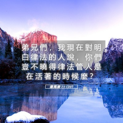 Picture 05 - 羅 馬 書 7:1 CUVT - 弟 兄 們 ， 我 現 在 對 明 白 律 法 - Bible Verse Picture
