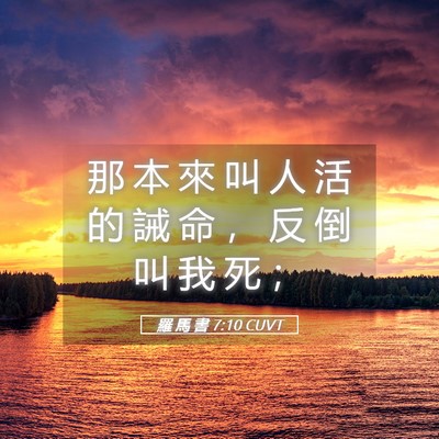 Picture 05 - 羅 馬 書 7:10 CUVT - 那 本 來 叫 人 活 的 誡 命 ， 反 倒 - Bible Verse Picture