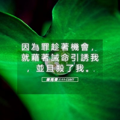 Picture 05 - 羅 馬 書 7:11 CUVT - 因 為 罪 趁 著 機 會 ， 就 藉 著 誡 - Bible Verse Picture