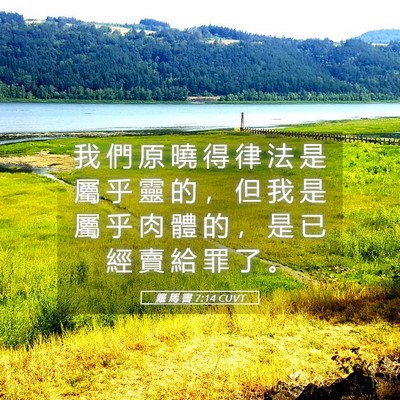 Picture 05 - 羅 馬 書 7:14 CUVT - 我 們 原 曉 得 律 法 是 屬 乎 靈 的 - Bible Verse Picture