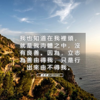 Picture 05 - 羅 馬 書 7:18 CUVT - 我 也 知 道 在 我 裡 頭 ， 就 是 我 - Bible Verse Picture