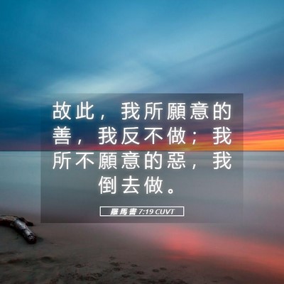 Picture 05 - 羅 馬 書 7:19 CUVT - 故 此 ， 我 所 願 意 的 善 ， 我 反 - Bible Verse Picture