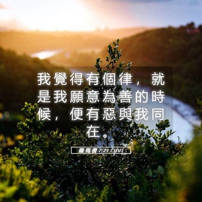 Picture 05 - 羅 馬 書 7:21 CUVT - 我 覺 得 有 個 律 ， 就 是 我 願 意 - Bible Verse Picture