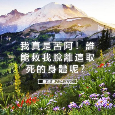 Picture 05 - 羅 馬 書 7:24 CUVT - 我 真 是 苦 阿 ！ 誰 能 救 我 脫 離 - Bible Verse Picture