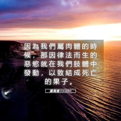 Picture 05 - 羅 馬 書 7:5 CUVT - 因 為 我 們 屬 肉 體 的 時 候 ， 那 - Bible Verse Picture