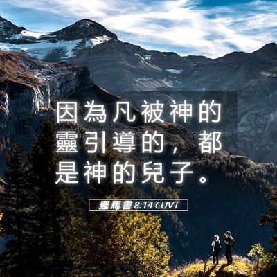 Picture 05 - 羅 馬 書 8:14 CUVT - 因 為 凡 被 神 的 靈 引 導 的 ， 都 - Bible Verse Picture