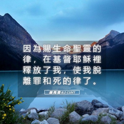 Picture 05 - 羅 馬 書 8:2 CUVT - 因 為 賜 生 命 聖 靈 的 律 ， 在 基 - Bible Verse Picture