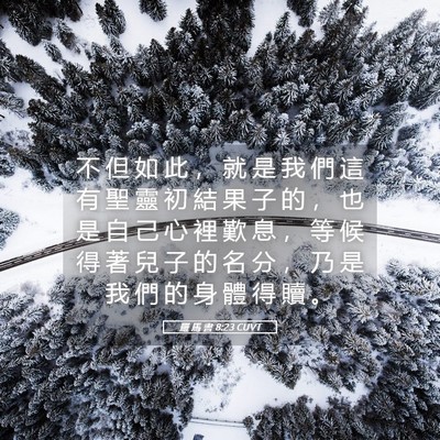 Picture 05 - 羅 馬 書 8:23 CUVT - 不 但 如 此 ， 就 是 我 們 這 有 聖 - Bible Verse Picture