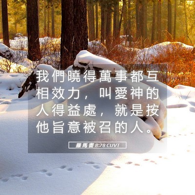 Picture 05 - 羅 馬 書 8:28 CUVT - 我 們 曉 得 萬 事 都 互 相 效 力 ， - Bible Verse Picture