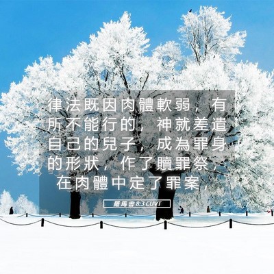 Picture 05 - 羅 馬 書 8:3 CUVT - 律 法 既 因 肉 體 軟 弱 ， 有 所 不 - Bible Verse Picture