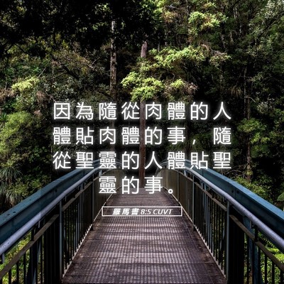 Picture 05 - 羅 馬 書 8:5 CUVT - 因 為 隨 從 肉 體 的 人 體 貼 肉 體 - Bible Verse Picture