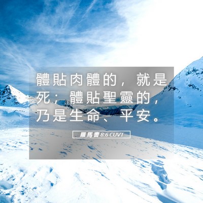 Picture 05 - 羅 馬 書 8:6 CUVT - 體 貼 肉 體 的 ， 就 是 死 ； 體 貼 - Bible Verse Picture