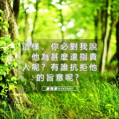 Picture 05 - 羅 馬 書 9:19 CUVT - 這 樣 ， 你 必 對 我 說 ： 他 為 甚 - Bible Verse Picture