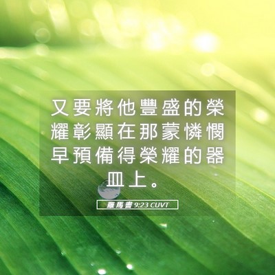 Picture 05 - 羅 馬 書 9:23 CUVT - 又 要 將 他 豐 盛 的 榮 耀 彰 顯 在 - Bible Verse Picture