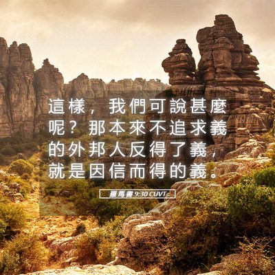 Picture 05 - 羅 馬 書 9:30 CUVT - 這 樣 ， 我 們 可 說 甚 麼 呢 ？ 那 - Bible Verse Picture