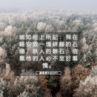 Picture 05 - 羅 馬 書 9:33 CUVT - 就 如 經 上 所 記 ： 我 在 錫 安 放 - Bible Verse Picture