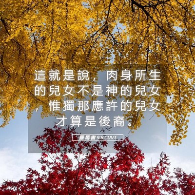 Picture 05 - 羅 馬 書 9:8 CUVT - 這 就 是 說 ， 肉 身 所 生 的 兒 女 - Bible Verse Picture