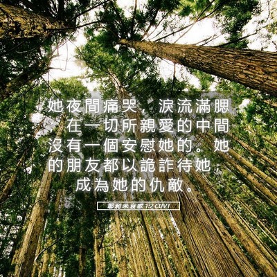 Picture 05 - 耶 利 米 哀 歌 1:2 CUVT - 她 夜 間 痛 哭 ， 淚 流 滿 腮 ； 在 - Bible Verse Picture