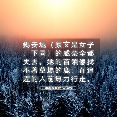 Picture 05 - 耶 利 米 哀 歌 1:6 CUVT - 錫 安 城 （ 原 文 是 女 子 ； 下 同 - Bible Verse Picture