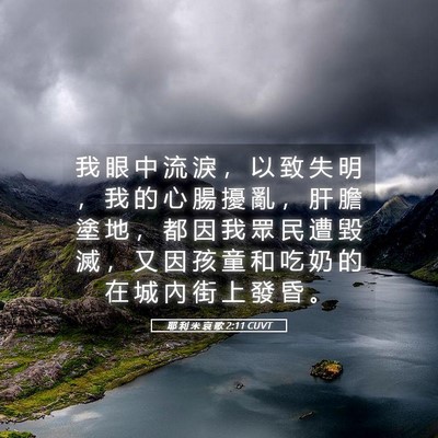 Picture 05 - 耶 利 米 哀 歌 2:11 CUVT - 我 眼 中 流 淚 ， 以 致 失 明 ， 我 - Bible Verse Picture