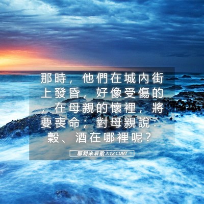Picture 05 - 耶 利 米 哀 歌 2:12 CUVT - 那 時 ， 他 們 在 城 內 街 上 發 昏 - Bible Verse Picture