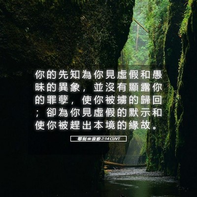 Picture 05 - 耶 利 米 哀 歌 2:14 CUVT - 你 的 先 知 為 你 見 虛 假 和 愚 昧 - Bible Verse Picture