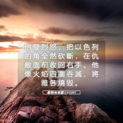 Picture 05 - 耶 利 米 哀 歌 2:3 CUVT - 他 發 烈 怒 ， 把 以 色 列 的 角 全 - Bible Verse Picture